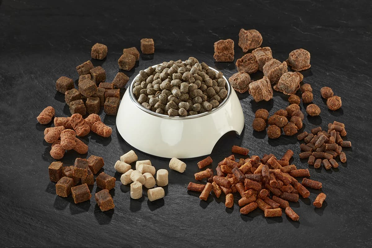 Dry pet food kibble around a bowl