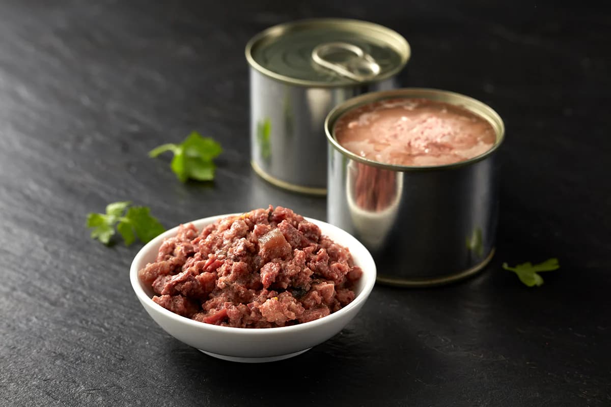 Wet pet food in a bowl beside an open can