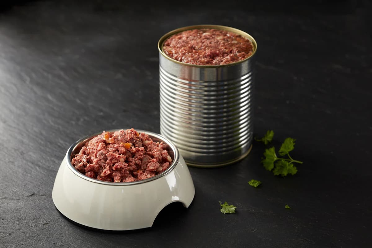 Wet pet food in a bowl beside an open can