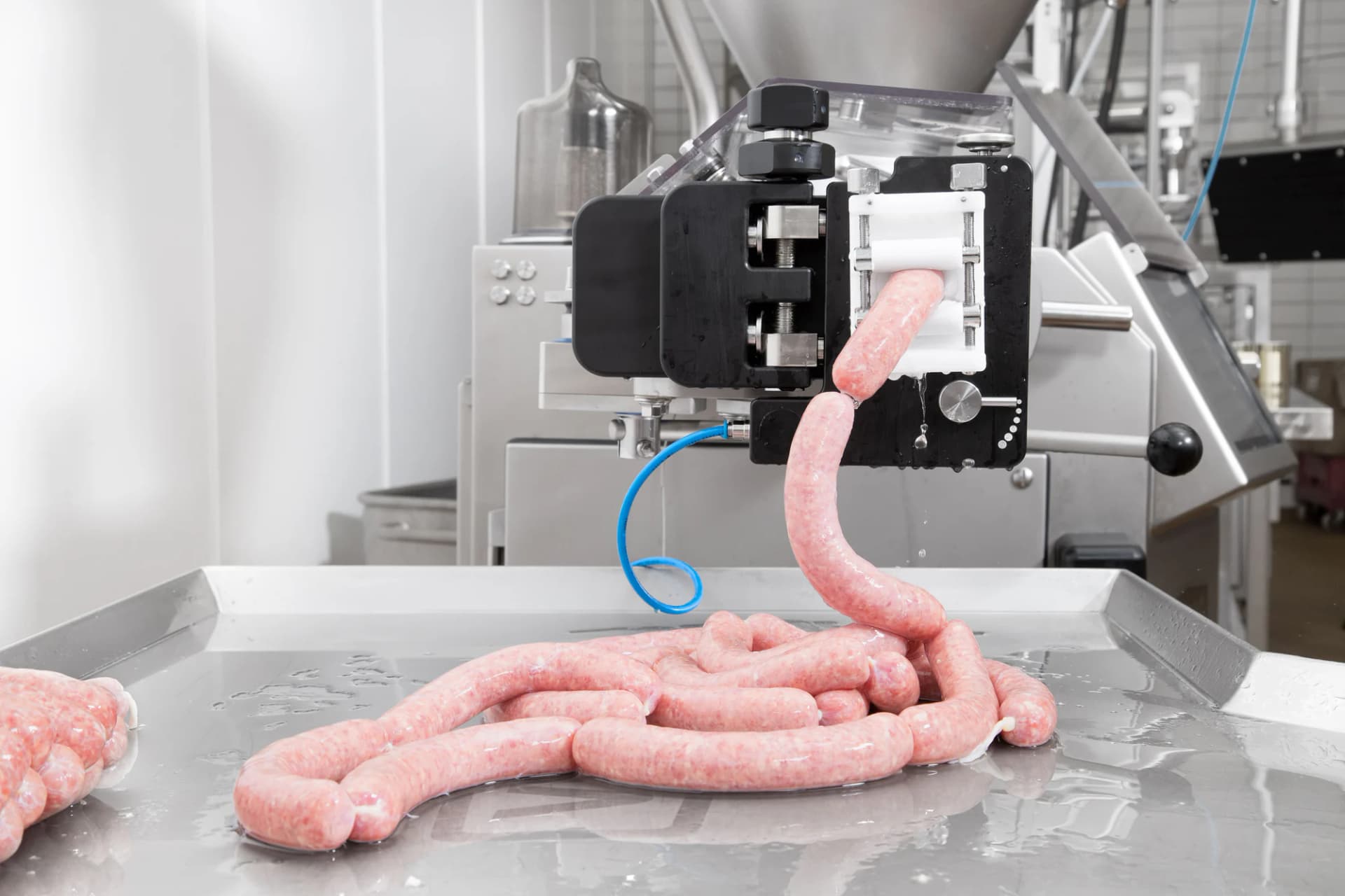 Sausages coming off a VEMAG linking machine